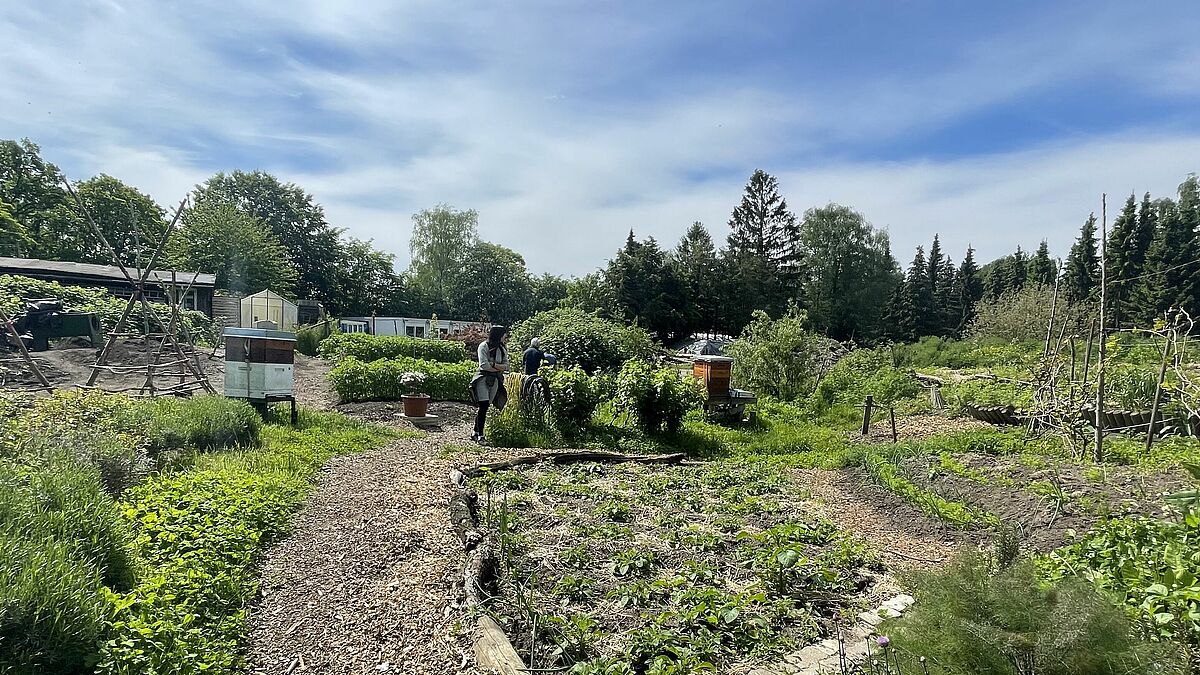 Die Luthergemeinde Bahrenfeld betreibt mit Hilfe zahlreicher Ehrenamtlicher das Gartenprojekt BaLuGa (Bahrenfelder Luthergarten). Beim Ökumene-Tag stellt die Nordkirche dort unter anderem die Themen Frieden und Bewahrung der Schöpfung in den Mittelpunkt. 