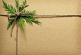 Karton mit Schleife und immergrünem Zweig