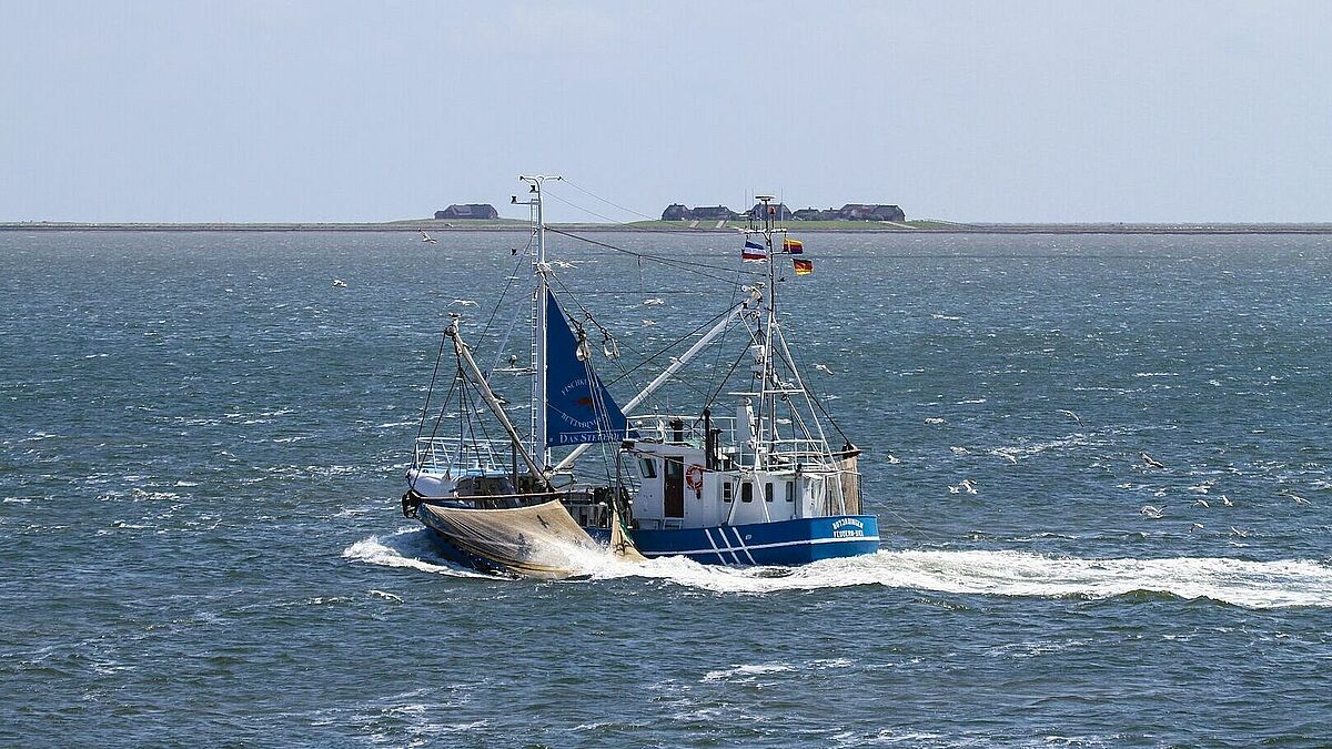 Die Halligen vor der Küste Nordfrieslands sind ein wichtiger Bestandteil des Küstenschutzes und wären direkt von einem Anstieg des Meeresspiegels betroffen