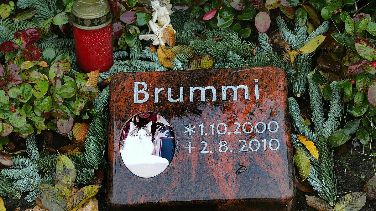 Erinnerungen an geliebte Haustiere: Grabstein auf dem Tierfriedhof in Niederkleveez (Kreis Plön).