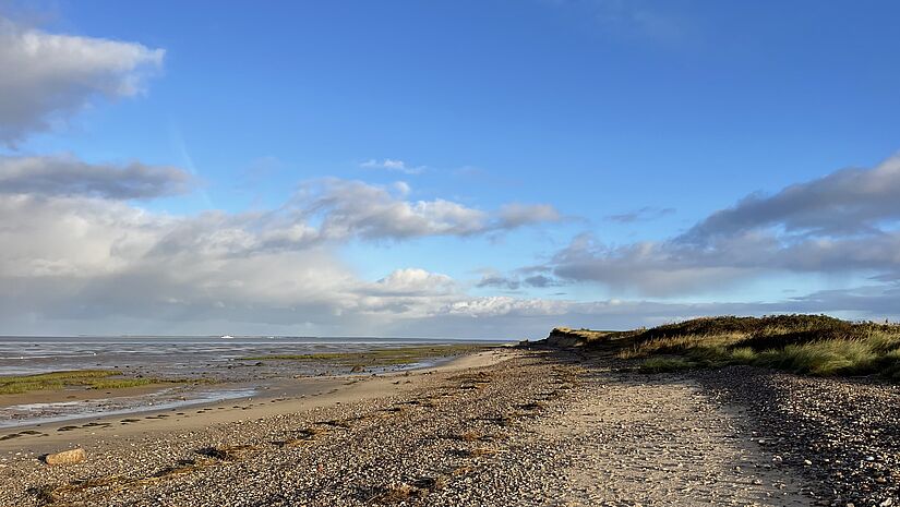 Strandabschnitt in Dänemark mit blauem Himmel und Steinstrand