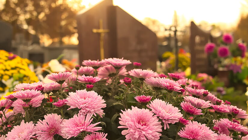 „In Gedenken - in Gedanken" lautet das Motto am „Tag des Friedhofs 2022".