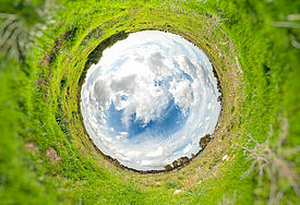 Landschaft