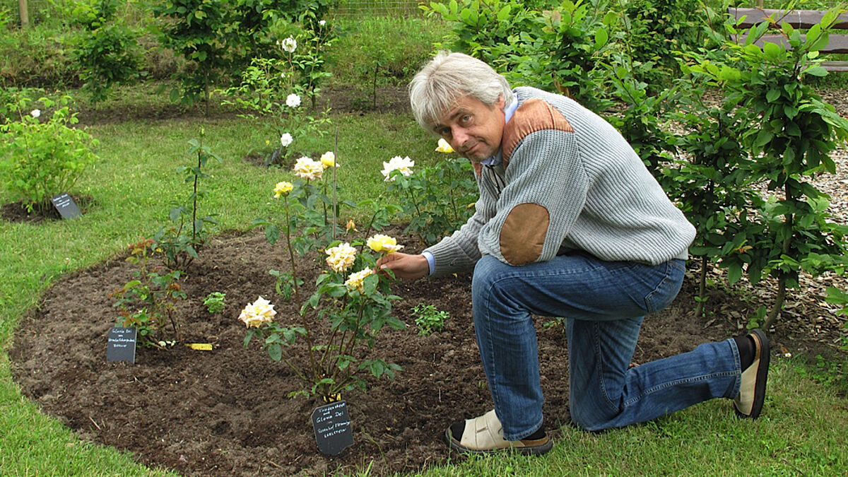Pastor Ulrich Kasparick hat es mit seinem Rosengarten zu lokaler Berühmtheit geschafft