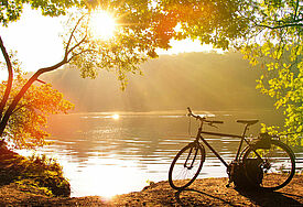 Fahrrad in Herbstlandschaft