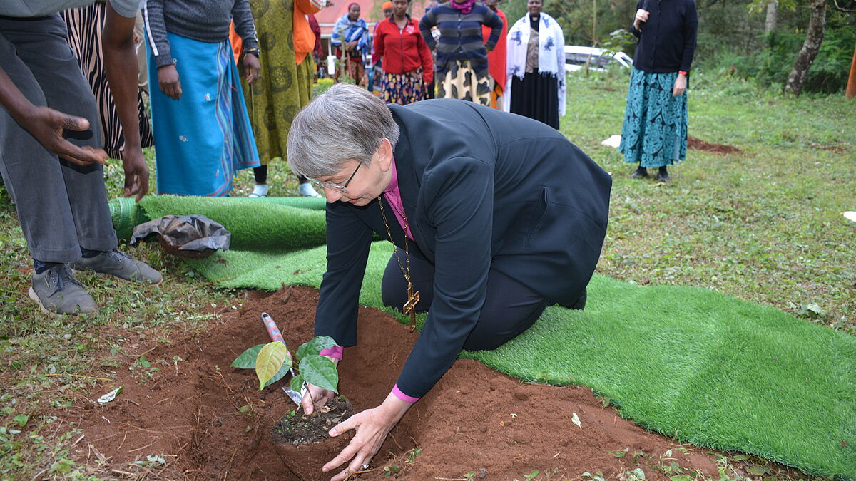 Landesbischöfin Kristina Kühnbaum-Schmidt pflanzt einen Baum im „Bishop Kristina Tree Garden“ am Fuße des Kilimanjaros