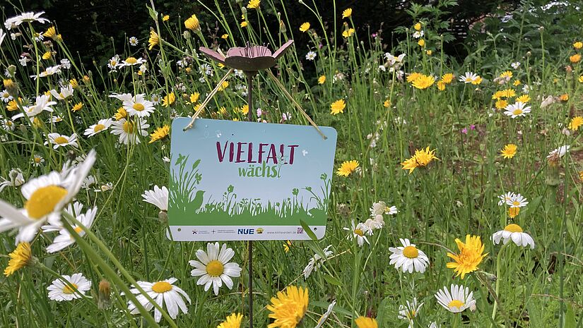 Vielfalt kann überall wachsen, in jedem Garten.