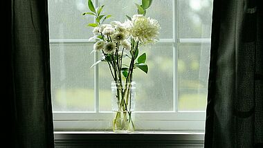Weiße Blumen in einem Fenster mit schwarzen Vorhängen