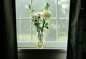 Weiße Blumen in einem Fenster mit schwarzen Vorhängen