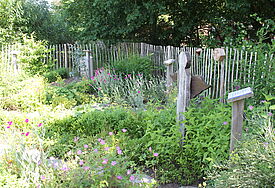Kräuter, Büsche und Stauden wachsen üppig in dem kleinen Garten