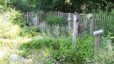 Kräuter, Büsche und Stauden wachsen üppig in dem kleinen Garten