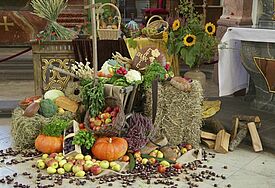 Zu Erntedank sind viele Kirchen feierlich mit den Früchten der Ernte geschmückt.