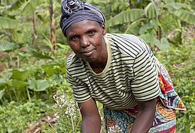 Im Küchengarten: Brot für die Welt unterstützt arme Familien in der Region Muhanga in Ruanda, sich gesünder und ausgewogener zu ernähren. © Karin Desmarowitz / Brot für die Welt