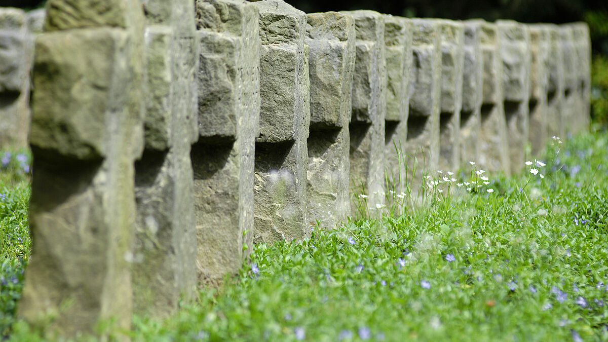 Kriegsgräberkreuze auf einem Friedhof (Symbolbild).
