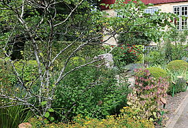 Blick in den Bibelgarten in Schleswig