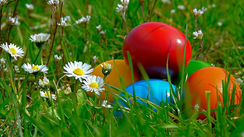 Bunte Eier im Gras