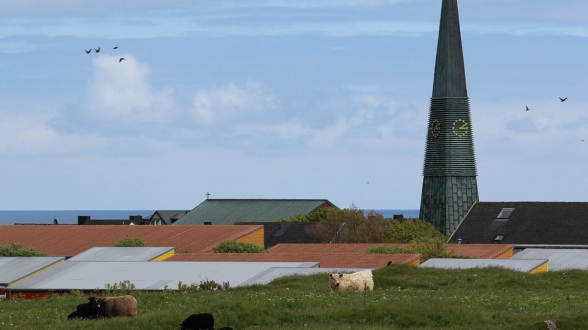 Die Orgeln von St. Nicolai sollen an Klangvielfalt gewinnen und dazu beitragen, Helgoland als "Klimafriedensinsel" bekannt zu machen. 