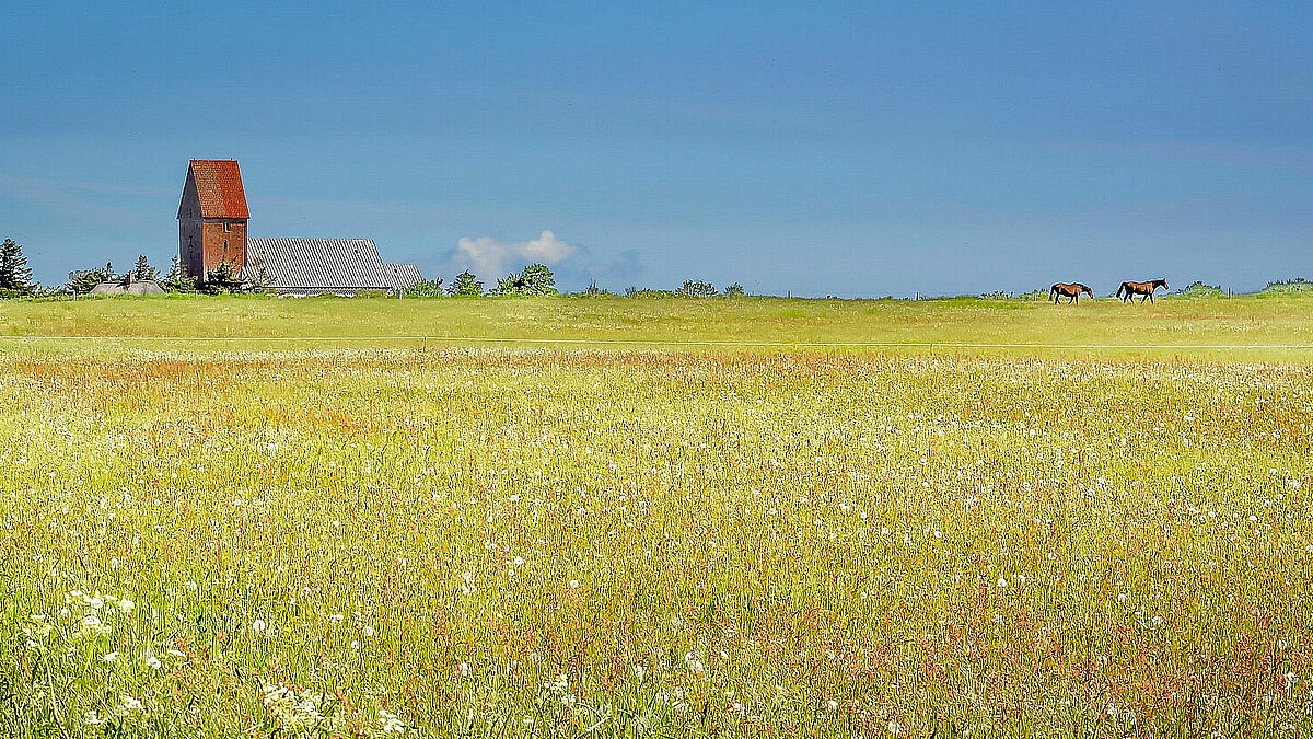 Die St. Severin-Kirche in Keitum auf der Nordseeinsel Sylt ist ein beliebtes Ausflugsziel für Touristen. 