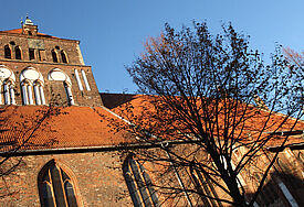 Die Marienkirche von Greifswald wird drei Jahre lang saniert