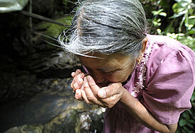 Nebelwälder in Guatemala sind wegen ihrer Wasserreserven für die Menschen in Trockengebieten lebenswichtig. Massive Abholzung bedroht ihre Existenz. Die Lutherische Kirche setzt sich für ihren Schutz ein (c) Lohnes bfdw