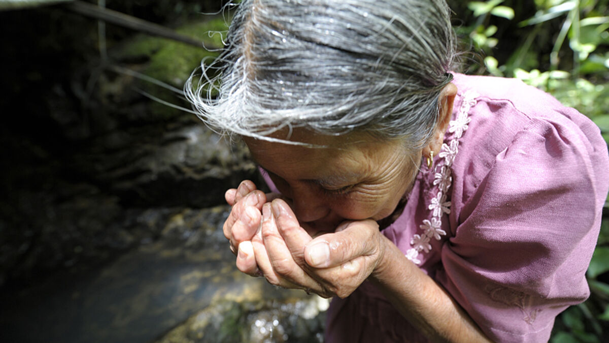 Nebelwälder in Guatemala sind wegen ihrer Wasserreserven für die Menschen in Trockengebieten lebenswichtig. Massive Abholzung bedroht ihre Existenz. Die Lutherische Kirche koordiniert Schutz-Programme für nachhaltige Landwirtschaft 