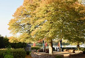 Garten in Eutin