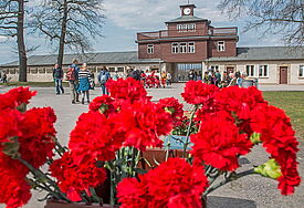 Blumen zum Gedenken an die mindestens 50.000 Toten des Konzentrationslagers Buchenwald