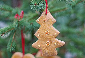 Neben der Krippe ist der Christbaum zu Weihnachten in vielen Kirchen und Wohnzimmern nicht wegzudenken. 