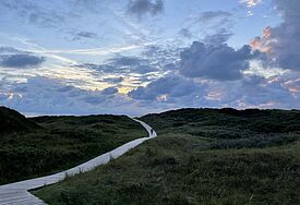 Weg durch Dünenlandschaft