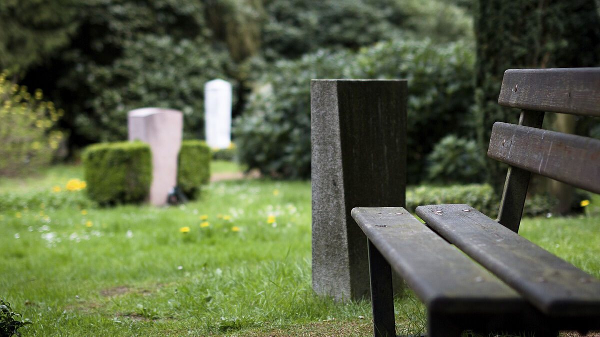 Parkbank auf dem Ohlsdorfer Friedhof.