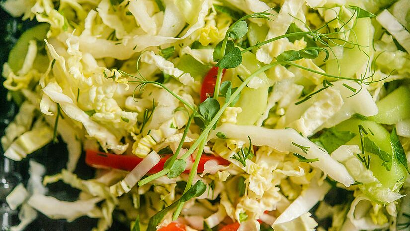 Klein geschnittener Spitzkohl in Nahaufnahme Klein geschnittener Spitzkohl in Nahaufnahme