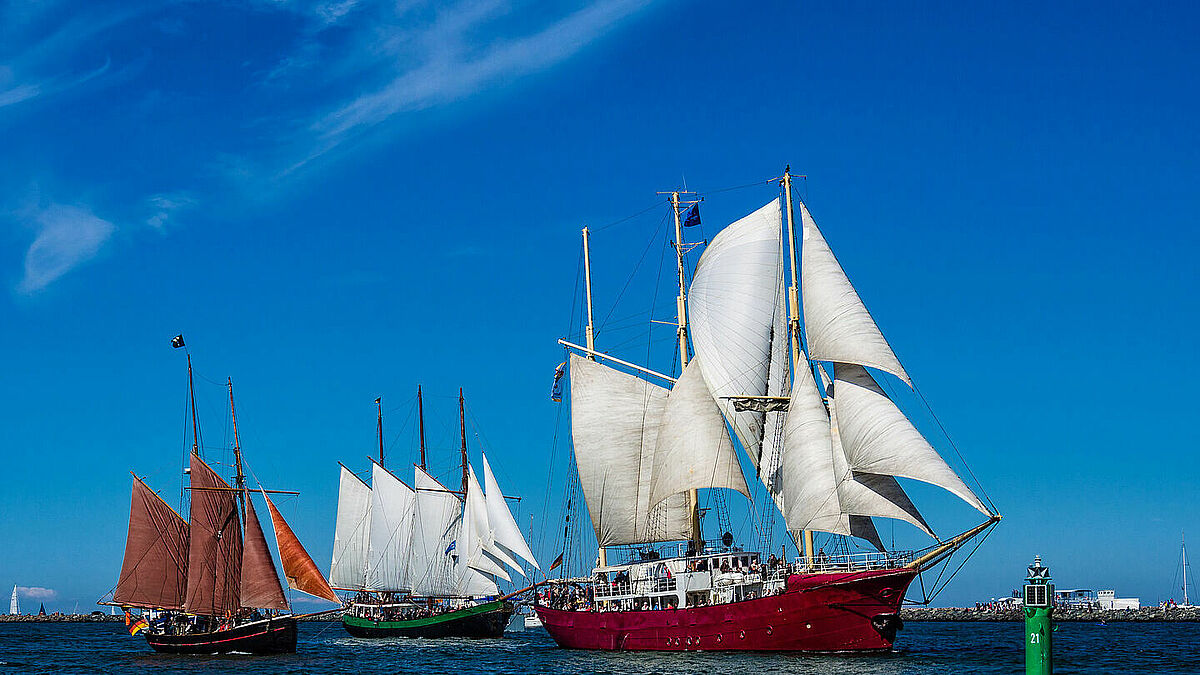 Großsegler bei der Hanse-Sail in Rostock