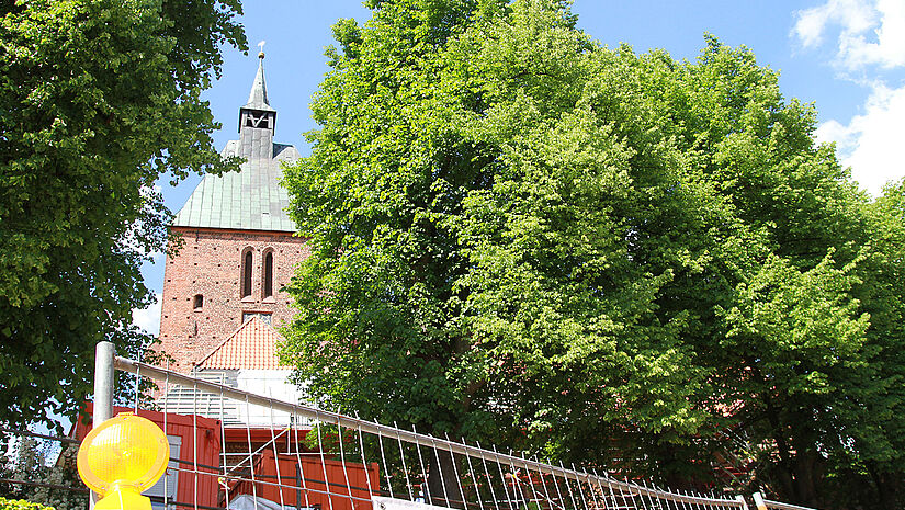 St. Nicolai Backsteinkirche hinter einem Bauzaun, umgeben von Laubbäumen