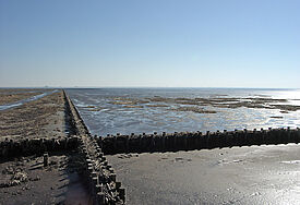 Watt, Nordsee