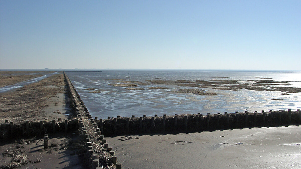 Naturschönheiten: Wattlandschaft an der Nordsee, Naturschutzgebiete, Mecklenburgs Seenplatte, die Holsteinische Schweiz und die Metropole Hamburg machen die Nordkirche zur Urlaubskirche