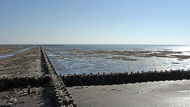 Watt, Nordsee