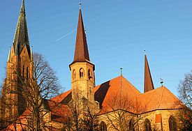 Der Schleswiger Dom im Frühjar