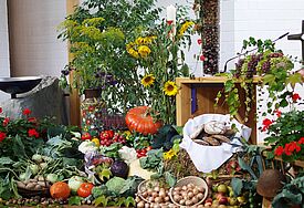 Kürbisse, Kartoffeln und viele weitere Früchte und Blumen angeordnet vor einem Altar