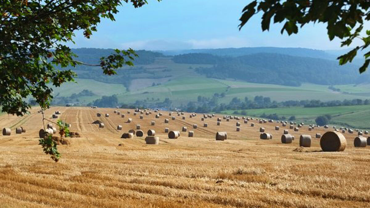Die Ernte ist eingefahren, jetzt ist die Zeit dafür zu danken. 