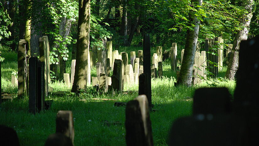 Jüdischer Friedhof in Hamburg-Altona
