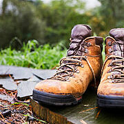 Wanderstiefel im verregneten Wald