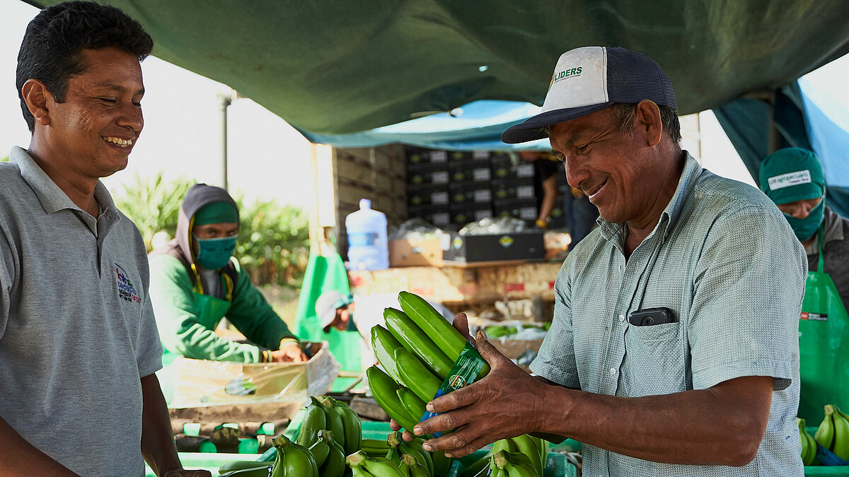 Brot für die Welt fördert den Fairen Handel: Konsumentinnen und Konsumenten zahlen einen höheren Preis z.B. für Kaffee, Schokolade oder Bananen, der Produzentinnen und Produzenten am anderen Ende der Lieferkette ein besseres Auskommen ermöglicht. Hier eine Bananenplantage in Peru. 