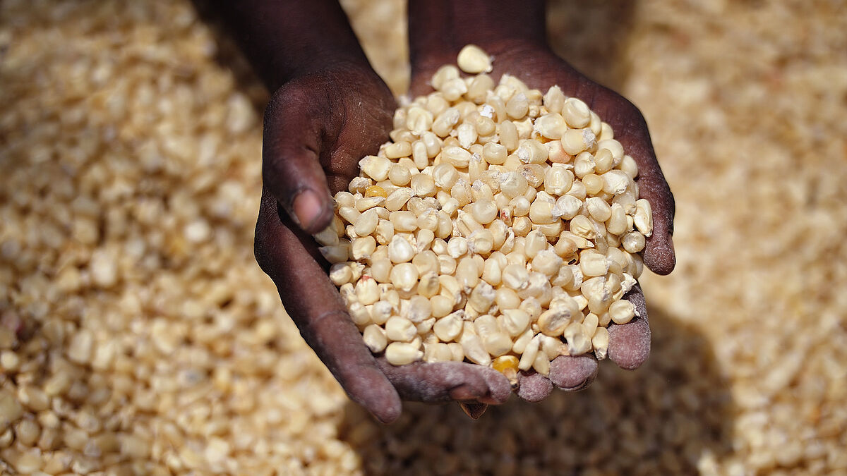 Eine Hand voll Mais - Ernährungssicherung in Malawi