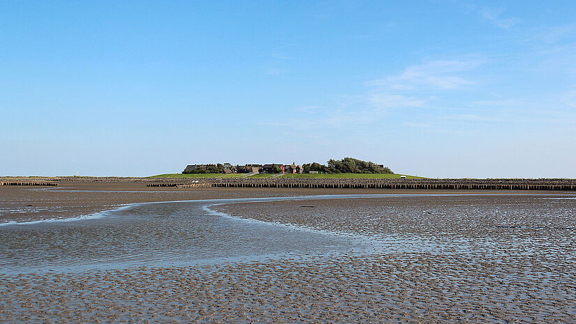530635029 Blick auf Hallig Oland bei Ebbe. Die Warften ragen aus dem Wattenmeer.