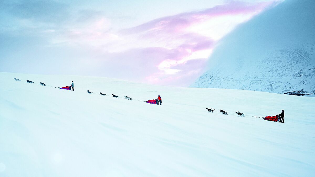 Der aktuelle Kalender 2019 zeigt auf dem Titel eine tief verschneite norwegische Polarlandschaft mit drei Menschen, die unter einem kalten Himmel mit Schlittenhunden und ihrem Gepäck unterwegs sind.