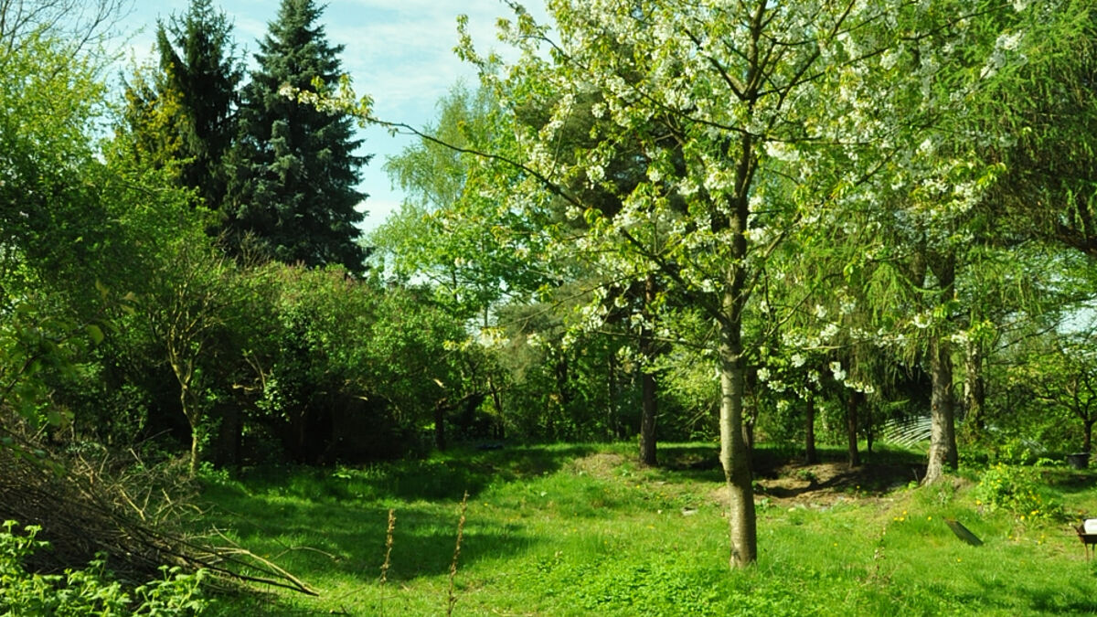 Viel Grün im Luthergarten von Hamburg-Bahrenfeld