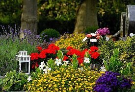 Grab mit vielen blühenden Blumen. 