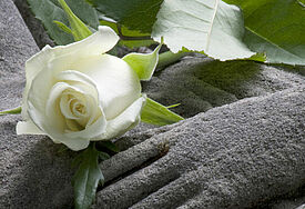 Eine weise Rose liegt auf einer Steinskulptur