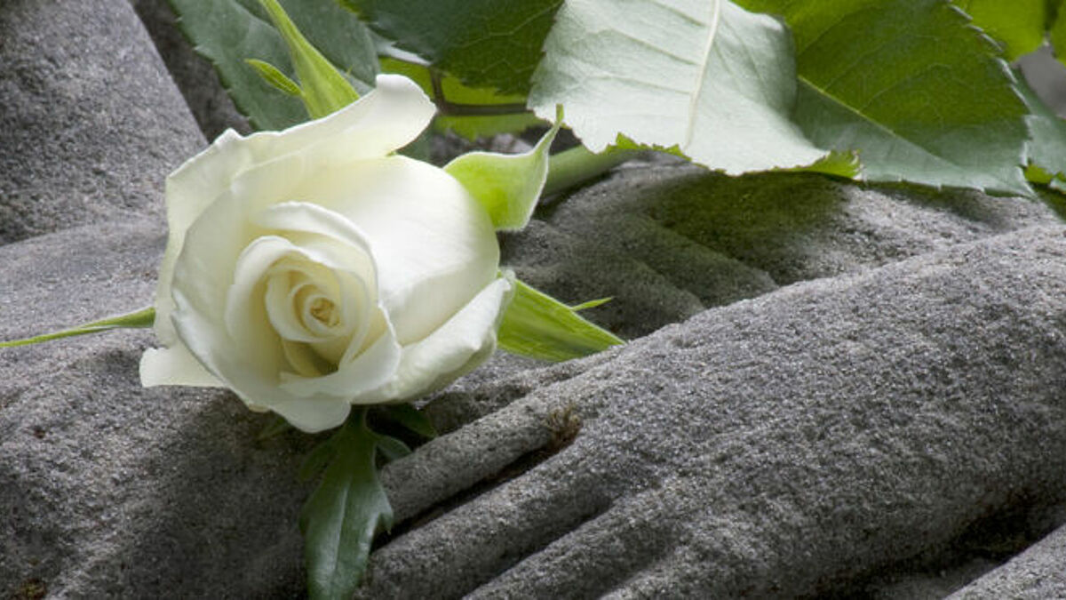 Eine weise Rose liegt auf einer Steinskulptur