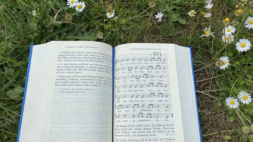 Geh aus mein Herz Lied Gesangbuch auf Rasen Geh aus mein Herz Lied Gesangbuch auf Rasen